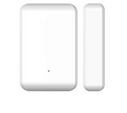 Wireless Door Sensor Detector DS2