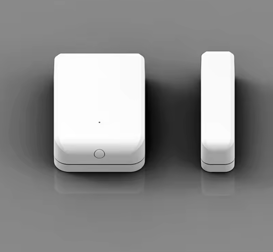 Wireless Door Sensor Detector DS2